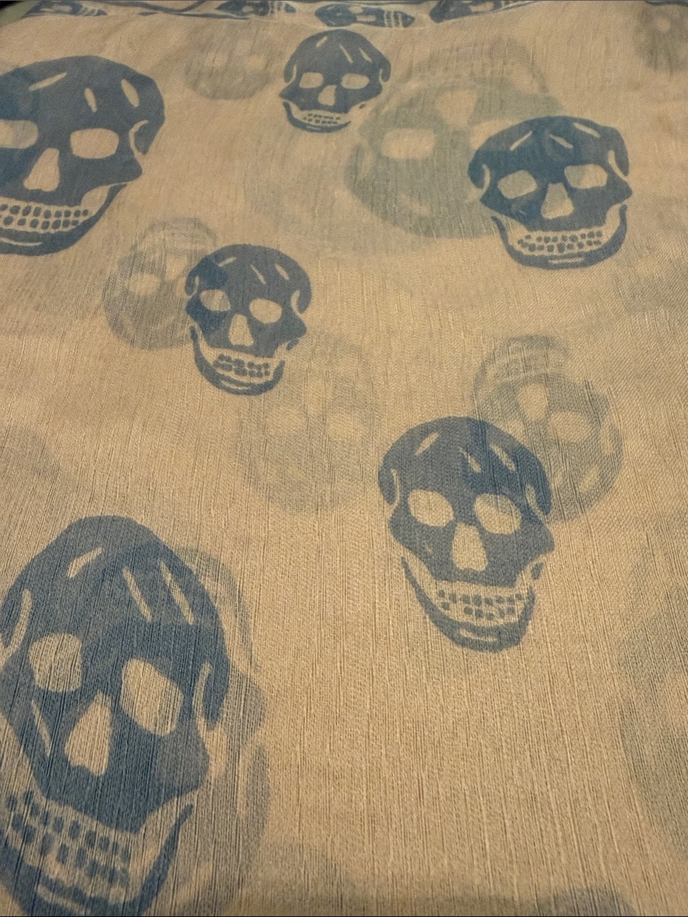 Alexander McQueen Blue Skull Print Scarf